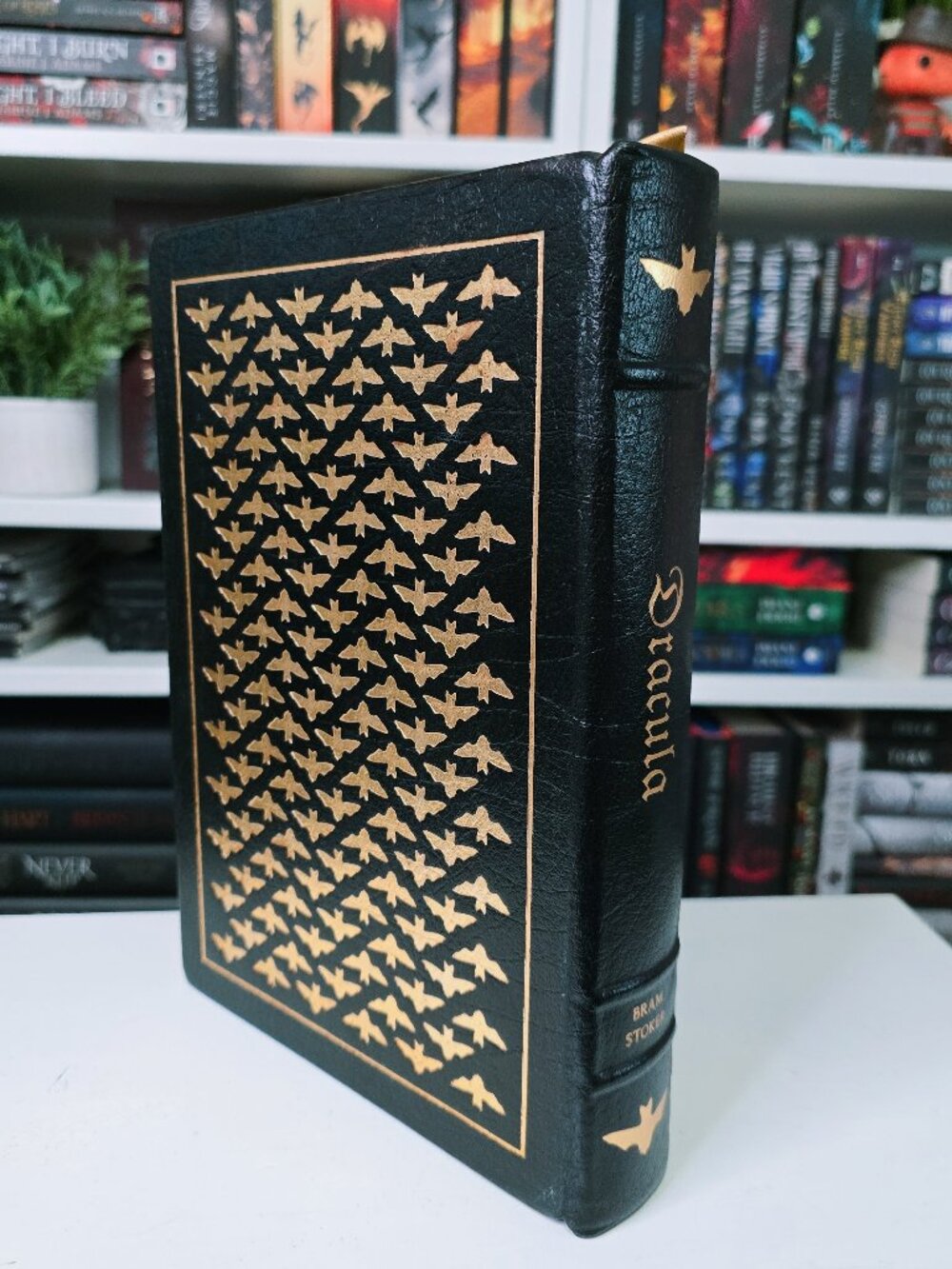RARE DRACULA Leather Bound Collectors Edition - Picture 3 of 12